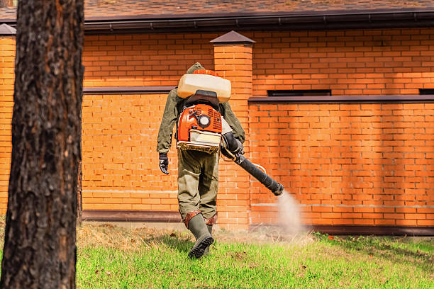 Trusted Emergency Pest Control service in Southern Pines, NC - Nex Pest Control